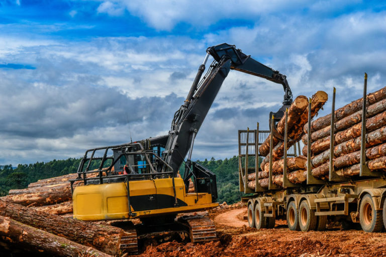 Loader placing logs in the back of a log truck